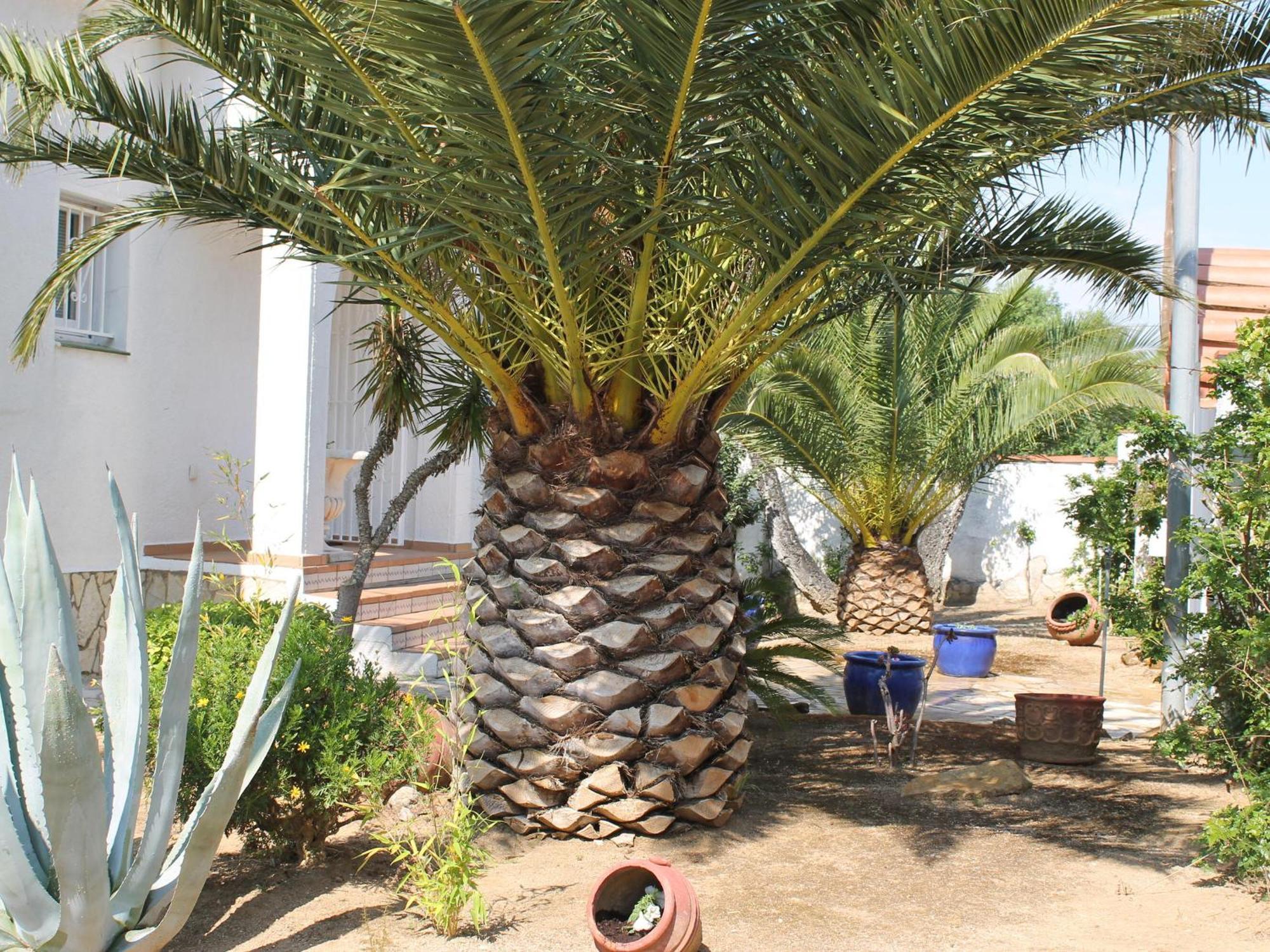 Con Piscina Y Vistas, Max.7 Personas, - Es-366-14 *